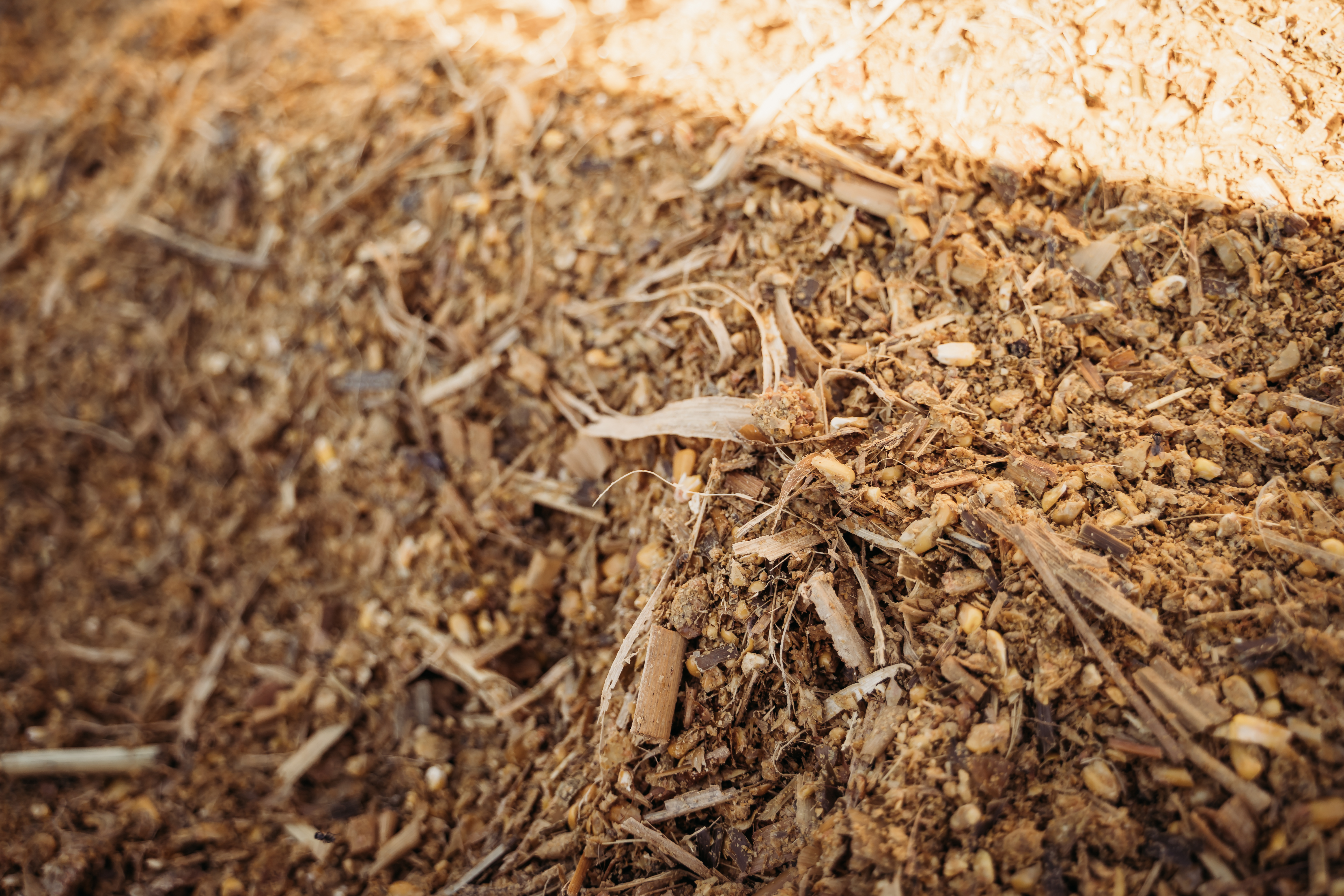 grain