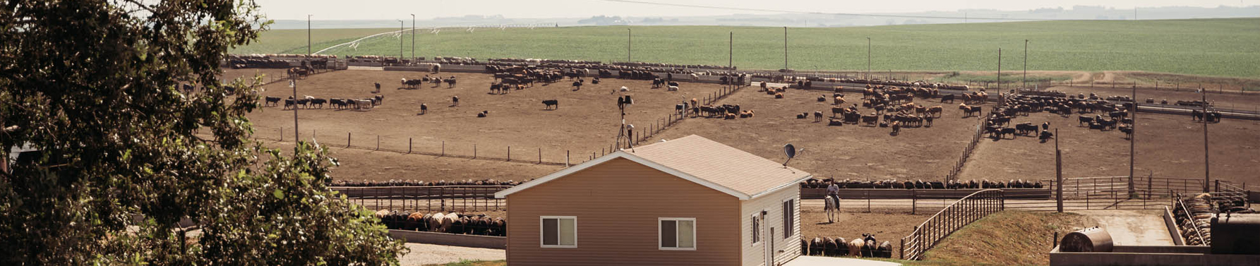 Aerial photo of feedyard