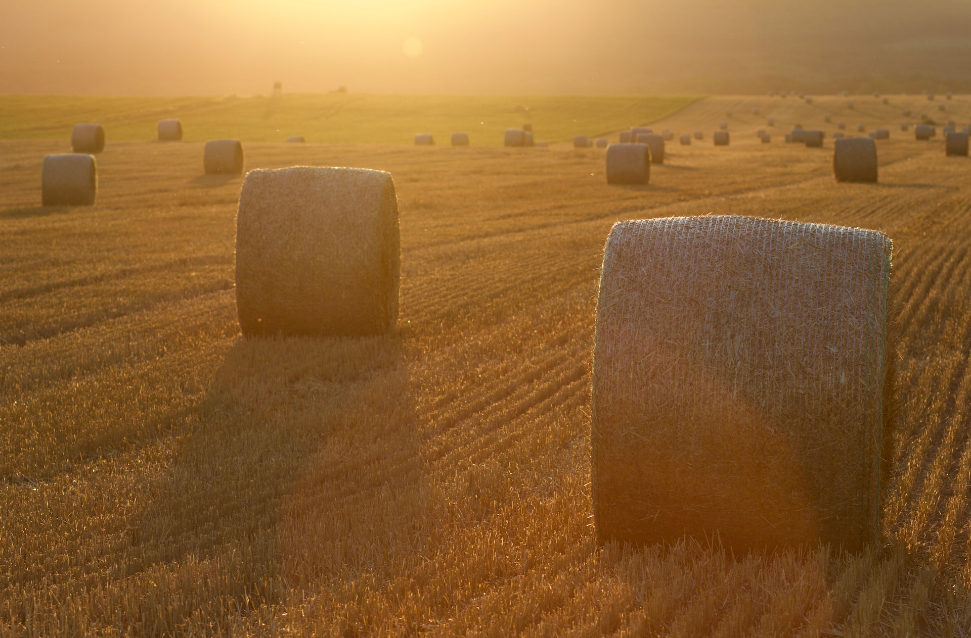 Hay Bales