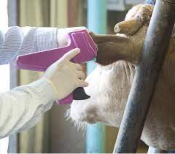 Administering an Implant