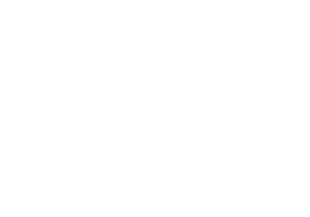 4.5 Cattle Co Brand Logo