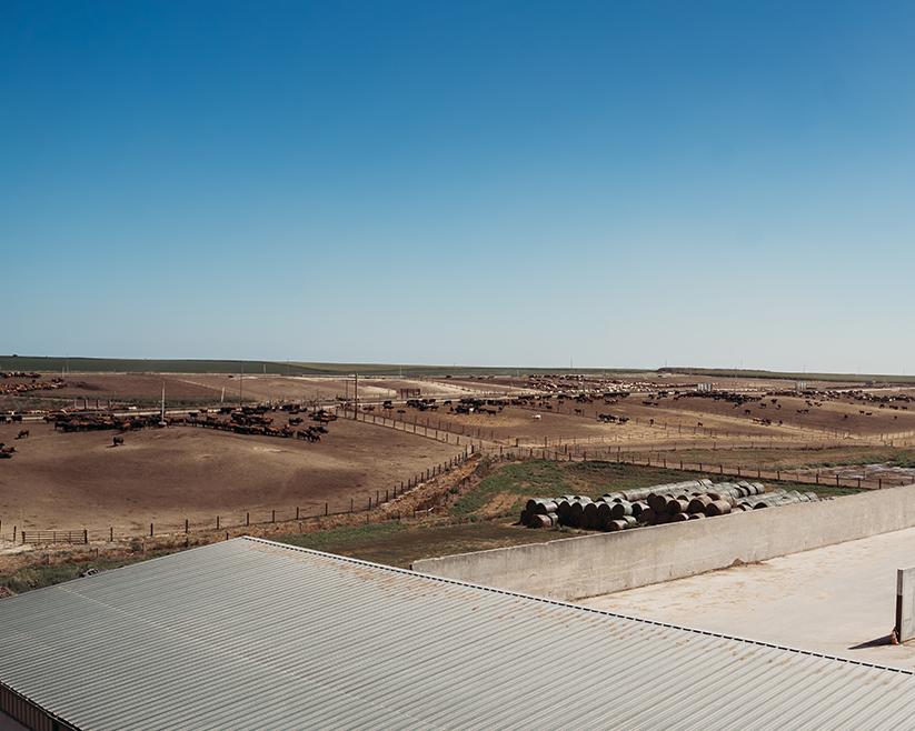 Wisner Location Photo