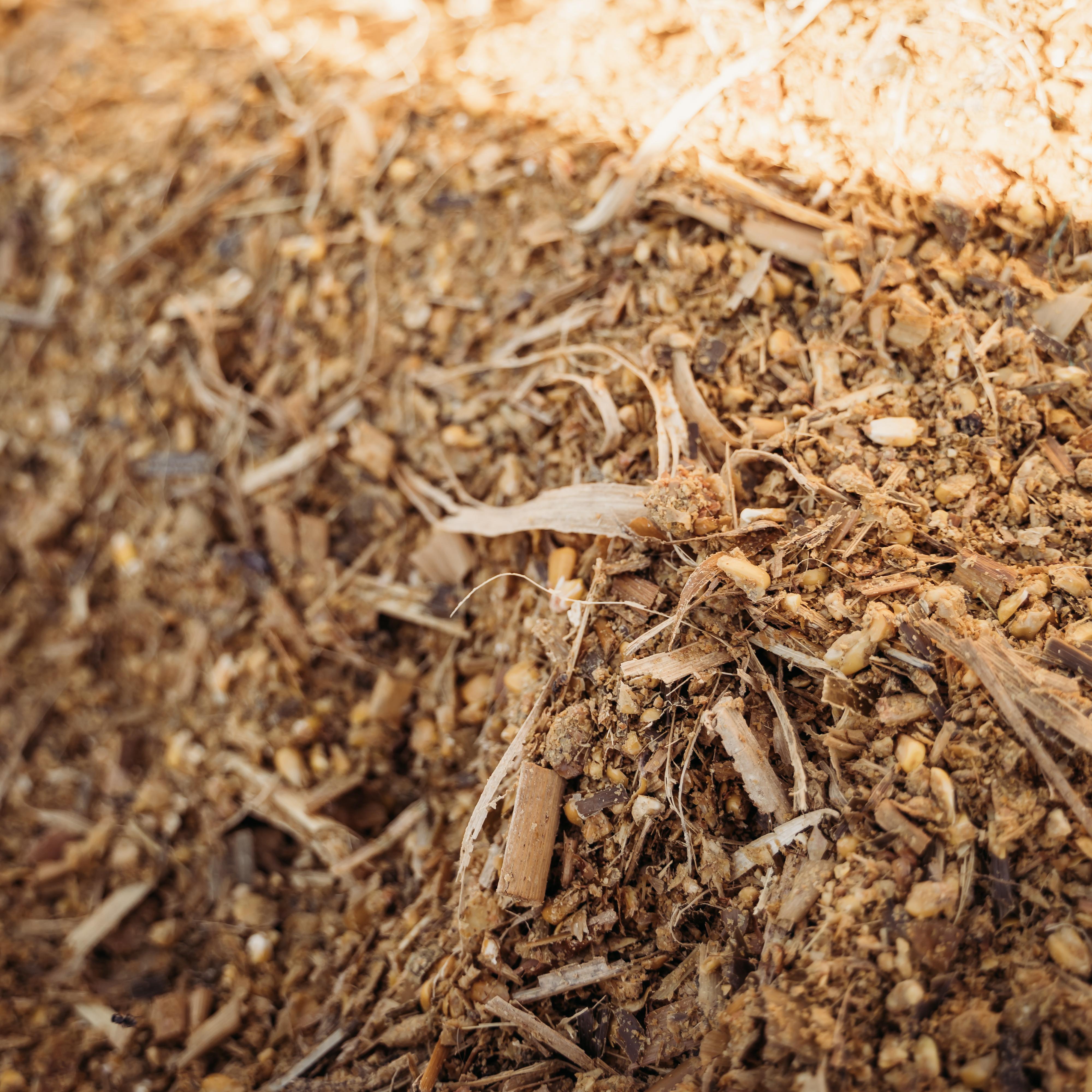grain