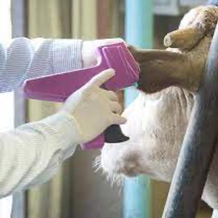 Administering an Implant