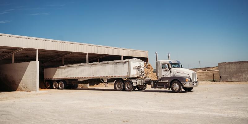 truck loading grain